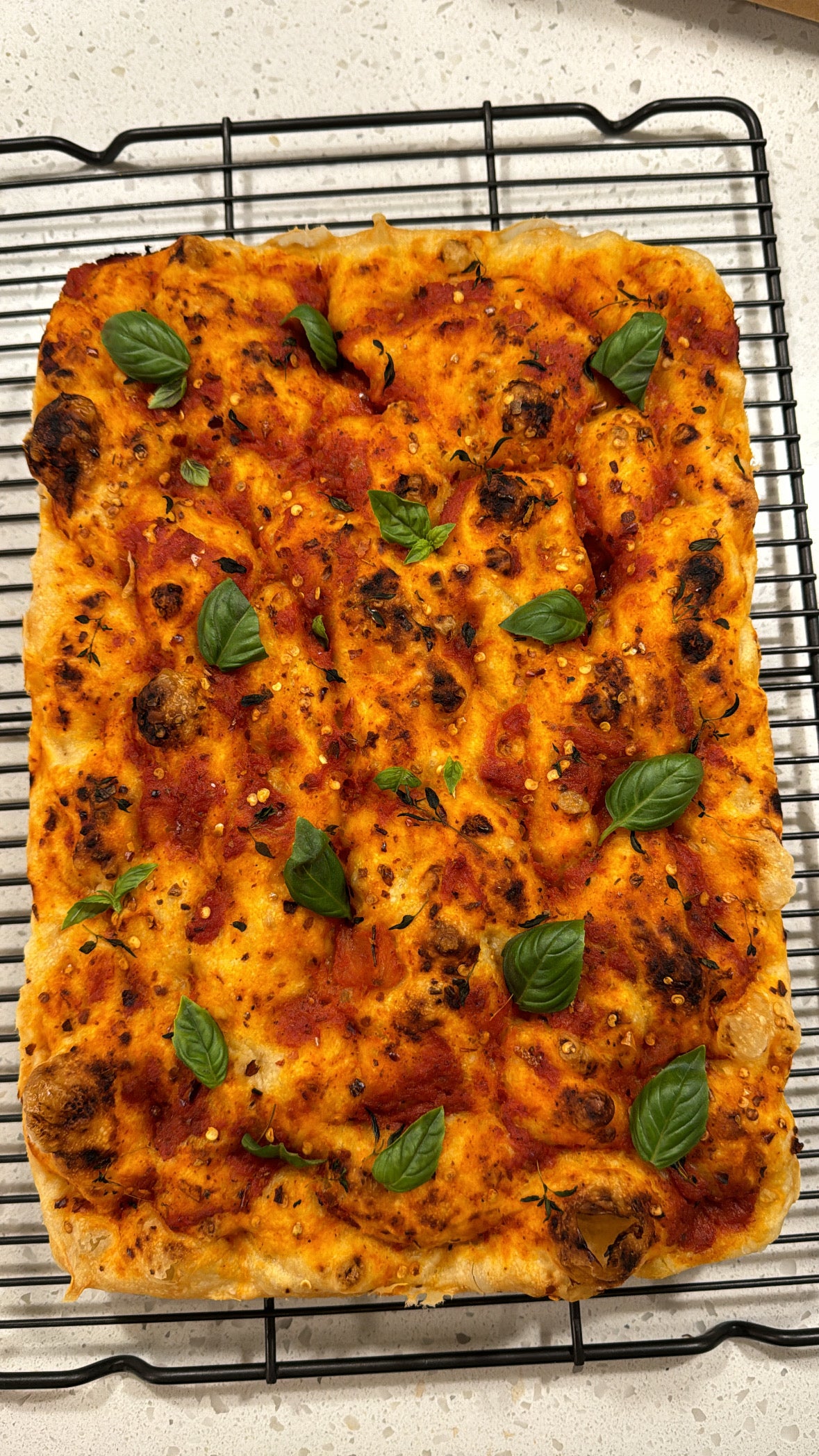 Focaccia